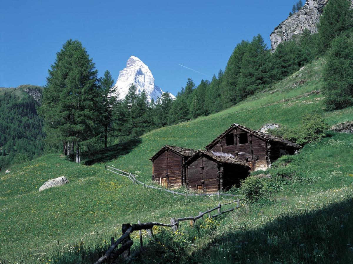 Apartment Richemont By Interhome Zermatt Ngoại thất bức ảnh