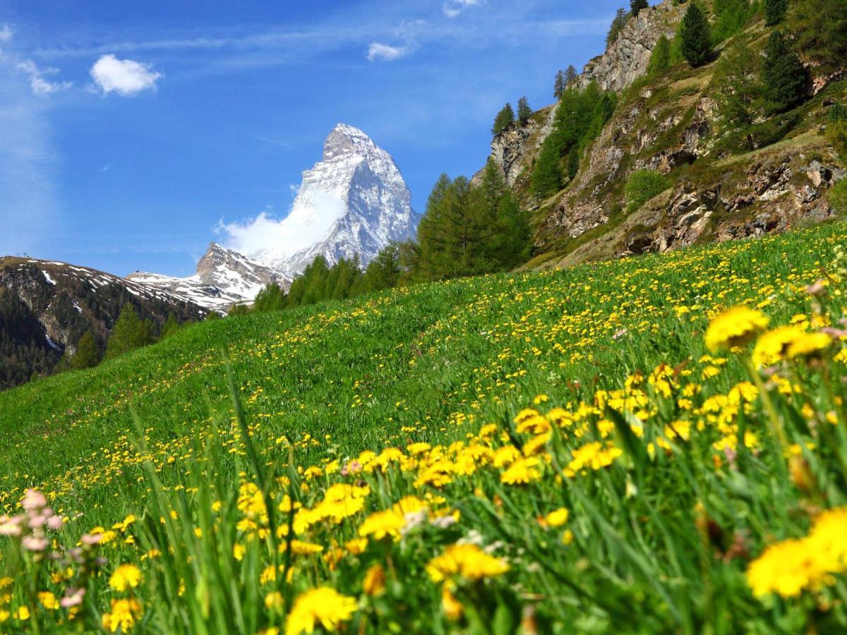 Apartment Richemont By Interhome Zermatt Ngoại thất bức ảnh